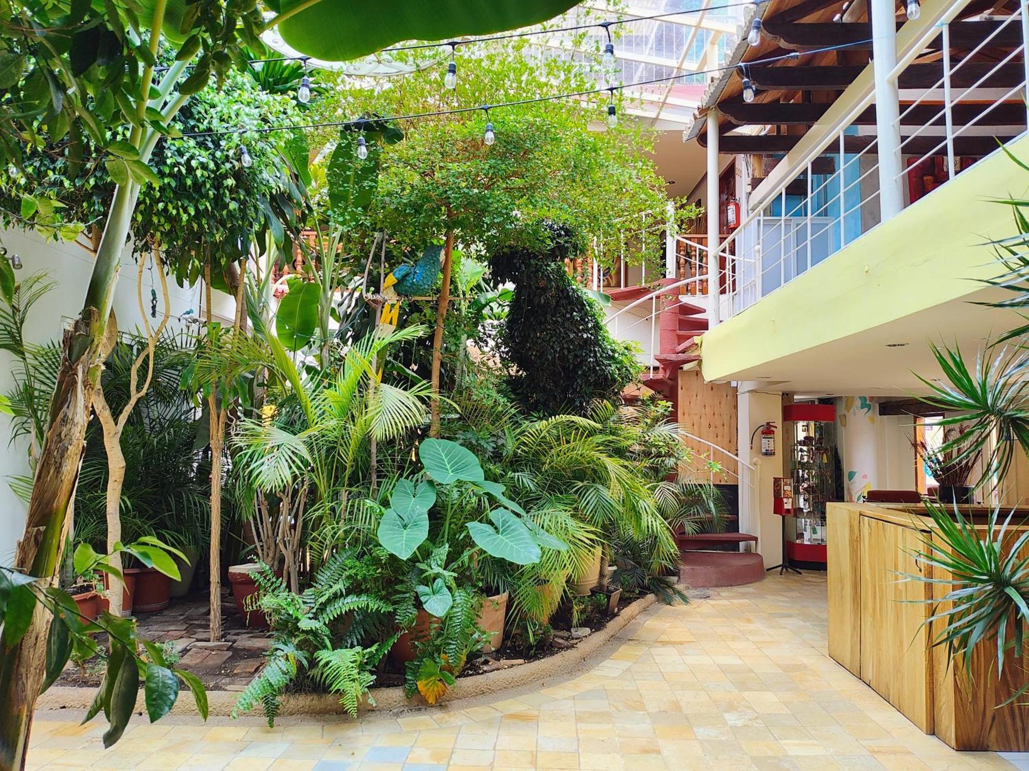 Hotel Barrio Antiguo Сан-Кристобаль-де-Ла-Касас Экстерьер фото